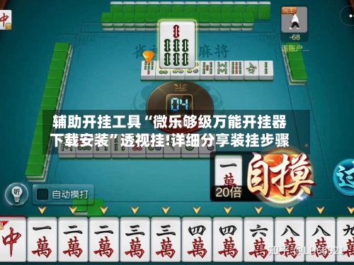 辅助开挂工具“微乐够级万能开挂器下载安装	”透视挂!详细分享装挂步骤-第2张图片