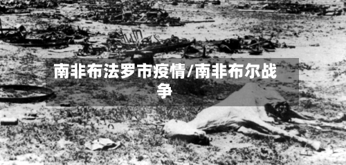 南非布法罗市疫情/南非布尔战争-第3张图片