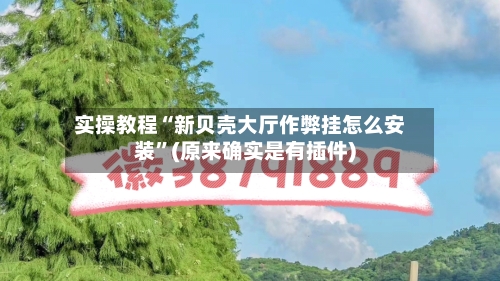 实操教程“新贝壳大厅作弊挂怎么安装	”(原来确实是有插件)-第2张图片