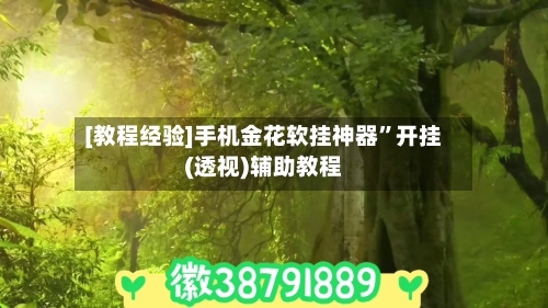 [教程经验]手机金花软挂神器”开挂(透视)辅助教程-第1张图片