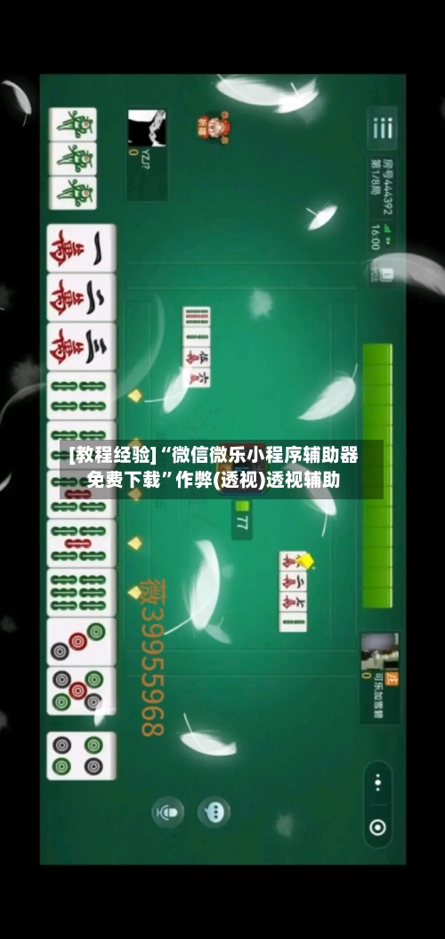 [教程经验]“微信微乐小程序辅助器免费下载”作弊(透视)透视辅助-第2张图片