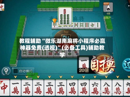 教程辅助“微乐湖南麻将小程序必赢神器免费(透视)	”(必备工具)辅助教学-第2张图片