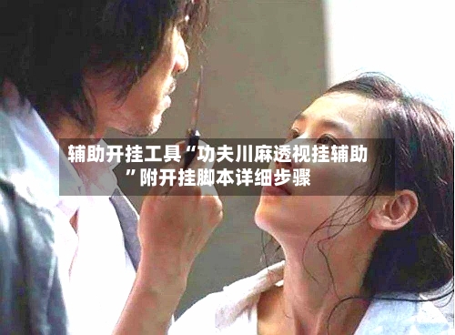 辅助开挂工具“功夫川麻透视挂辅助”附开挂脚本详细步骤-第1张图片