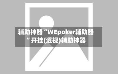 辅助神器“WEpoker辅助器”开挂(透视)辅助神器-第1张图片