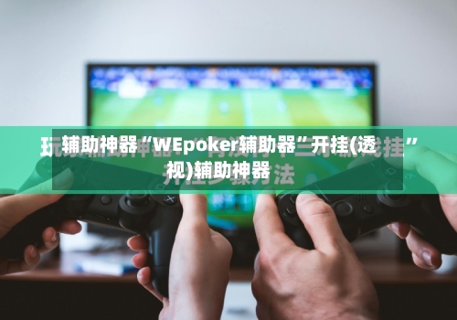 辅助神器“WEpoker辅助器”开挂(透视)辅助神器-第2张图片