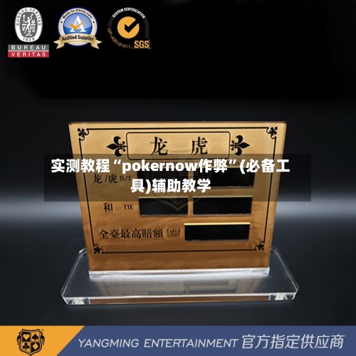 实测教程“pokernow作弊”(必备工具)辅助教学-第1张图片