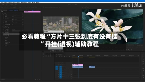 必看教程“方片十三张到底有没有挂	”开挂(透视)辅助教程-第1张图片