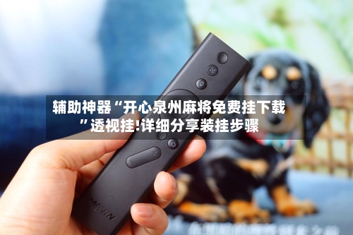 辅助神器“开心泉州麻将免费挂下载”透视挂!详细分享装挂步骤-第3张图片