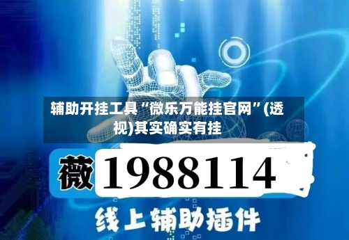 辅助开挂工具“微乐万能挂官网”(透视)其实确实有挂-第2张图片
