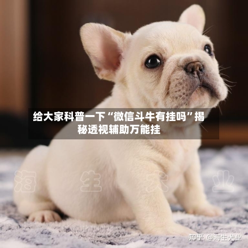 给大家科普一下“微信斗牛有挂吗”揭秘透视辅助万能挂-第3张图片