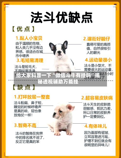 给大家科普一下“微信斗牛有挂吗”揭秘透视辅助万能挂-第1张图片
