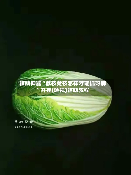 辅助神器“荔枝竞技怎样才能抓好牌”开挂(透视)辅助教程-第1张图片