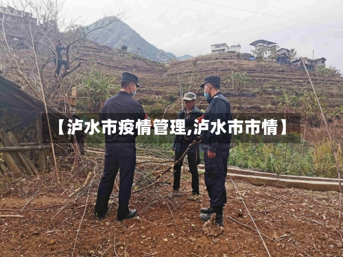 【泸水市疫情管理,泸水市市情】-第3张图片