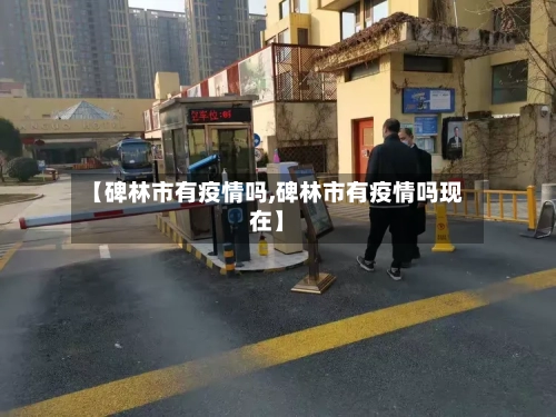 【碑林市有疫情吗,碑林市有疫情吗现在】-第2张图片