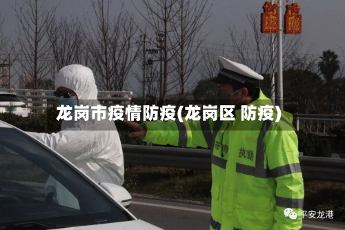 龙岗市疫情防疫(龙岗区 防疫)-第3张图片