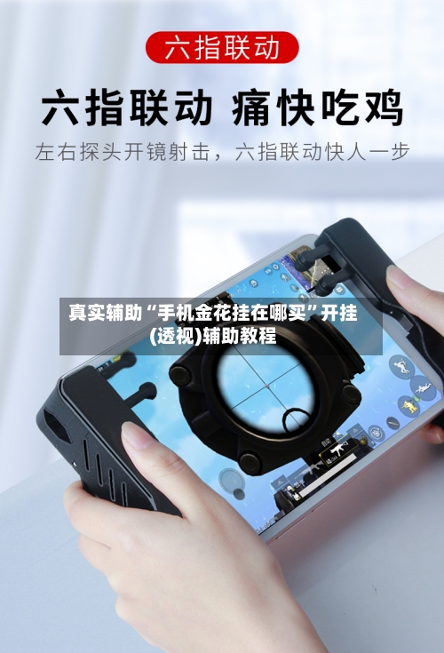真实辅助“手机金花挂在哪买	”开挂(透视)辅助教程-第3张图片