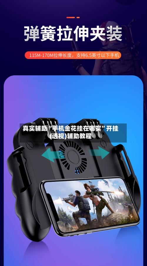 真实辅助“手机金花挂在哪买”开挂(透视)辅助教程-第2张图片