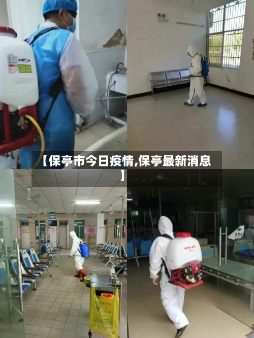 【保亭市今日疫情,保亭最新消息】-第1张图片