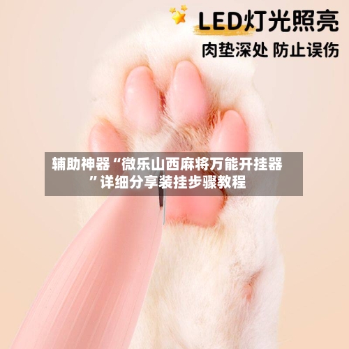 辅助神器“微乐山西麻将万能开挂器”详细分享装挂步骤教程-第1张图片