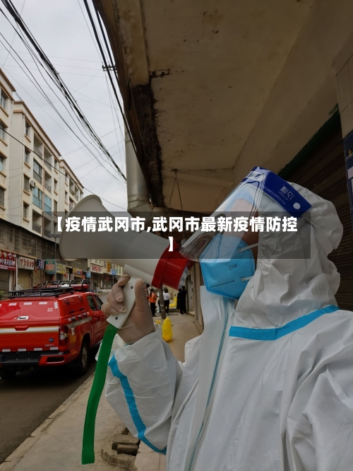 【疫情武冈市,武冈市最新疫情防控】-第1张图片