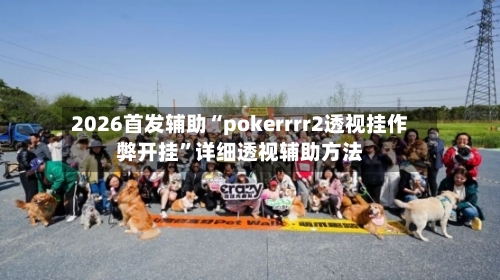 2026首发辅助“pokerrrr2透视挂作弊开挂”详细透视辅助方法-第2张图片