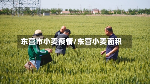 东营市小麦疫情/东营小麦面积-第2张图片