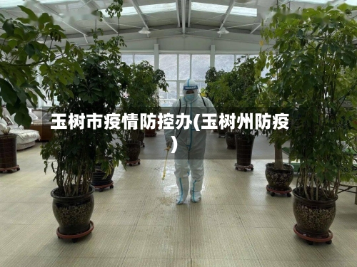 玉树市疫情防控办(玉树州防疫)-第2张图片