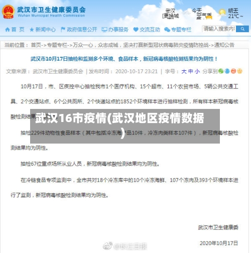 武汉16市疫情(武汉地区疫情数据)-第1张图片