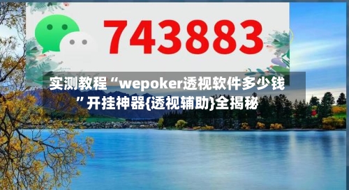 实测教程“wepoker透视软件多少钱”开挂神器{透视辅助}全揭秘-第3张图片