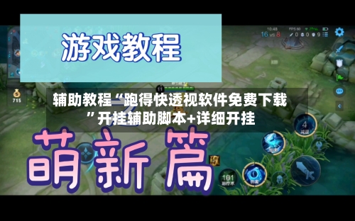 辅助教程“跑得快透视软件免费下载”开挂辅助脚本+详细开挂-第3张图片