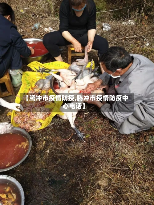 【腾冲市疫情防疫,腾冲市疫情防疫中心电话】-第1张图片