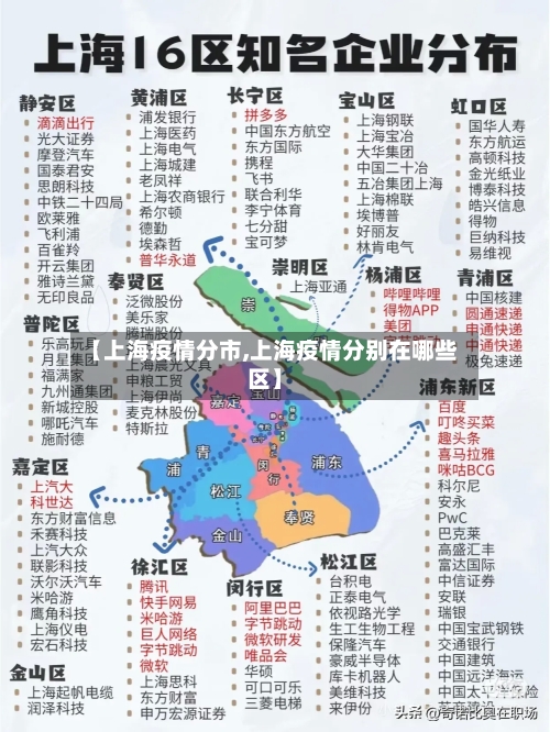 【上海疫情分市,上海疫情分别在哪些区】-第3张图片