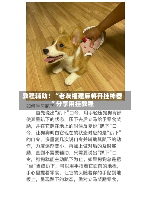 教程辅助！“老友福建麻将开挂神器”分享用挂教程-第1张图片