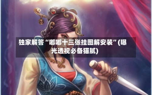 独家解答“嘟嘟十三张挂图解安装”(曝光透视必备猫腻)-第1张图片