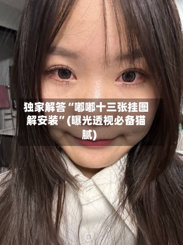 独家解答“嘟嘟十三张挂图解安装”(曝光透视必备猫腻)-第3张图片