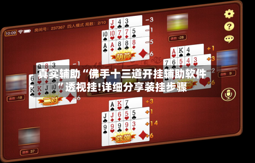 真实辅助“佛手十三道开挂辅助软件”透视挂!详细分享装挂步骤-第3张图片