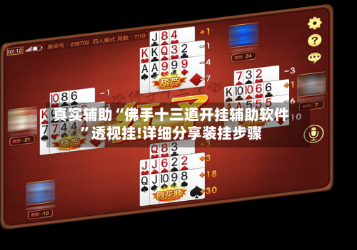 真实辅助“佛手十三道开挂辅助软件”透视挂!详细分享装挂步骤-第1张图片