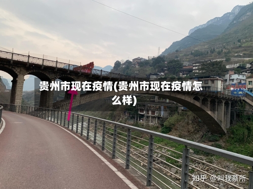 贵州市现在疫情(贵州市现在疫情怎么样)-第1张图片