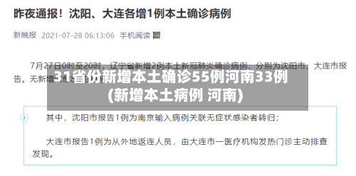 31省份新增本土确诊55例河南33例(新增本土病例 河南)-第2张图片
