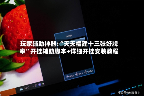 玩家辅助神器:“天天福建十三张好牌率”开挂辅助脚本+详细开挂安装教程-第1张图片