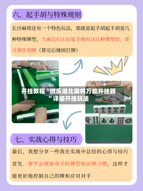 开挂教程“微乐湖北麻将万能开挂器”详细开挂玩法-第1张图片