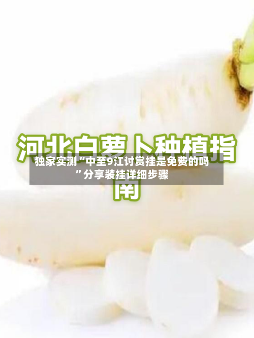 独家实测“中至9江讨赏挂是免费的吗”分享装挂详细步骤-第2张图片