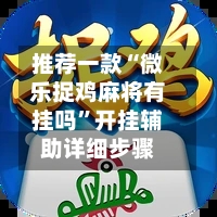 推荐一款“微乐捉鸡麻将有挂吗”开挂辅助详细步骤-第1张图片