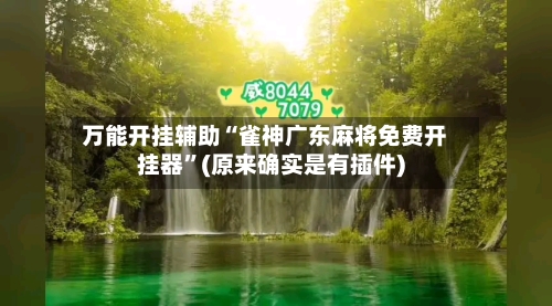 万能开挂辅助“雀神广东麻将免费开挂器”(原来确实是有插件)-第3张图片