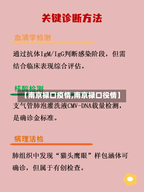 【南京禄口疫情,南京禄口役情】-第1张图片