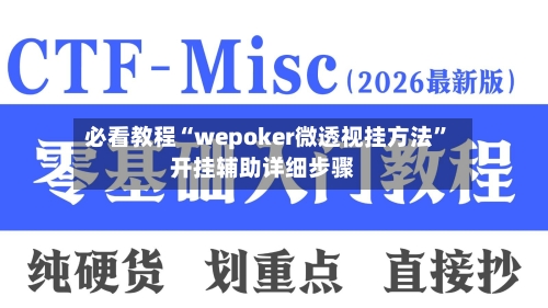必看教程“wepoker微透视挂方法	”开挂辅助详细步骤-第3张图片