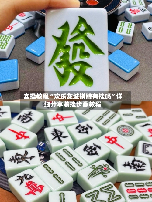 实操教程“欢乐龙城棋牌有挂吗”详细分享装挂步骤教程-第3张图片