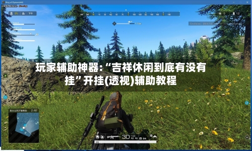 玩家辅助神器:“吉祥休闲到底有没有挂”开挂(透视)辅助教程-第1张图片