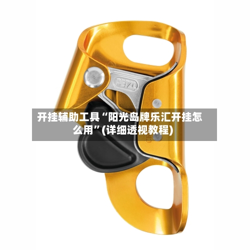 开挂辅助工具“阳光岛牌乐汇开挂怎么用”(详细透视教程)-第2张图片