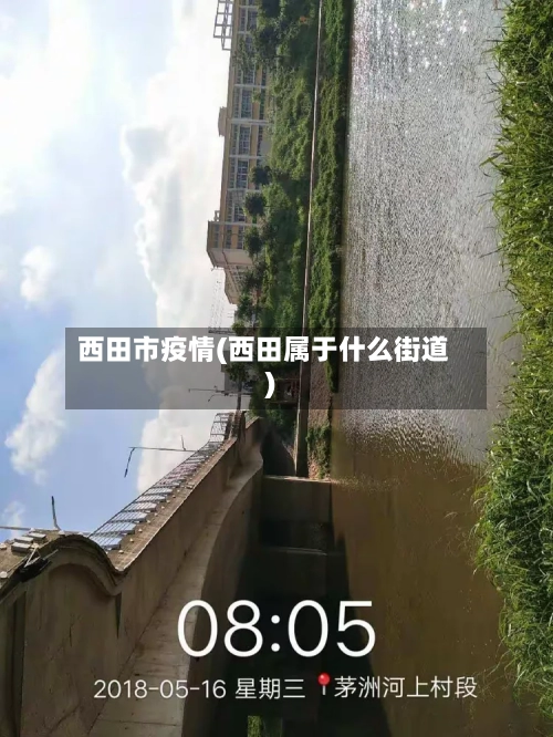 西田市疫情(西田属于什么街道)-第2张图片